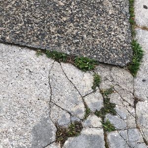 Meet your Posher, Mariah